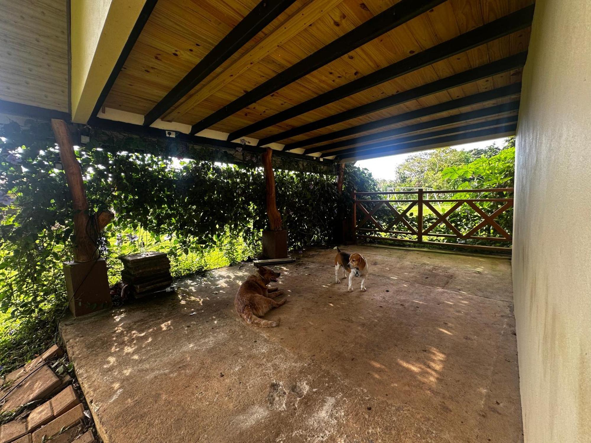 Modern Loft Inside A Beautiful Farm Appartement General Viejo Buitenkant foto